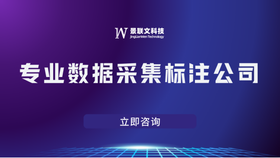 景联文科技：专业数据采集标注公司 ，助力企业提升算法精度！